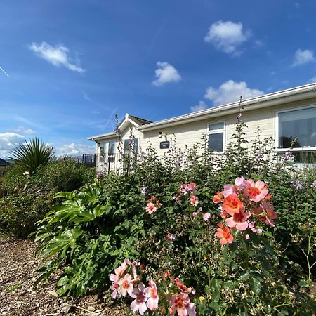 East Kitcham Lodge Launceston Kültér fotó